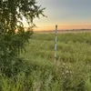 sofik_363