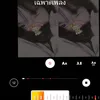 tkzxq._1