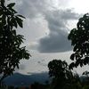 tahu_isindok