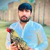 asifsaleh374