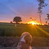 claireelizabethwharton