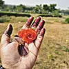 iqra1807042
