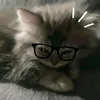nn_nnusernssd