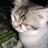 rizkybanna