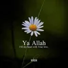 bayan.rashed0