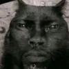anhfongdzvi