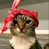 momoki.mamik
