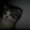 urfv.rrar44_