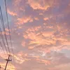 tra_my_0208