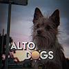 alto.dogs