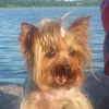 heidie23_
