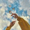butterfly11521