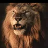 atttaullah23