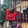 jah__pinky