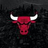 bulls4life21