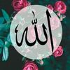 user3067388821371
