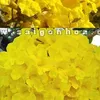 user5p6msgco4t