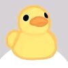 sapiq__b