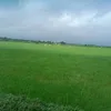 dyifunpwzjzt