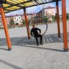 sahibkosayev2