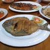 ade87nagabonar