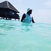 hosi_yamina