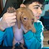 Sacha_clips🐖