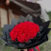 alalialahmad1978