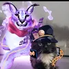 felecks2