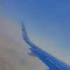 melhalafawy