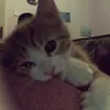 ivanzoloooxx
