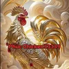 PhúcChicken_33339