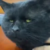 quockiet__0_o