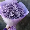 fatima1133775
