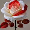 maxsamir855