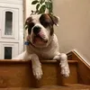tonkabruce0