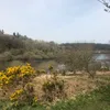 morgan_041