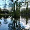 julienmarie14230