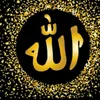 daf_.yt6