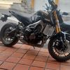 manrique.00