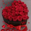 tash_383