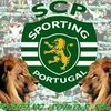 paulomartinho2493