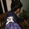 harysajaa