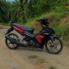 cincau.basih