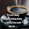 dyf4ivsdcof3