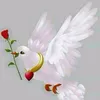 user7858927929628