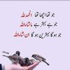 babarmalik62641