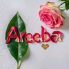 areebu459