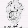 user79292503273232
