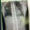 bones_doctor